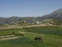 GR, Crete, Rethimnon, Vatos 2, Saxifraga-Willem van Kruijsbergen
