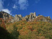 GR, Drama, Paranestiou, Frakto Virgin forest 14, Saxifraga-Dirk Hilbers