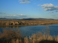 GR, Evros, Alexandroupolis, Evros Delta 5, Saxifraga-Dirk Hilbers