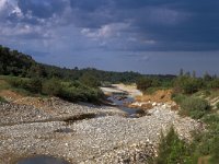 GR, Evros, Alexandroupolis, Dadia 2, Saxifraga-Jan van der Straaten