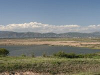 GR, Evros, Alexandroupolis, Evros Delta 92, Saxifraga-Dirk Hilbers