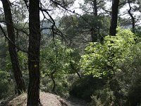 GR, Evros, Soufli, Dadia forest 61, Saxifraga-Dirk Hilbers