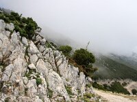 GR, Ionia Nisia, Kefalonia 14, Saxifraga-Foto Fitis-Sytske Dijksen