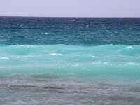 GR, Ionia Nisia, Kefalonia 22, Saxifraga-Foto Fitis-Sytske Dijksen