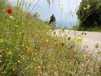 GR, Ionia Nisia, Kefalonia, Ainosslope 1, Saxifraga-Foto Fitis-Sytske Dijksen
