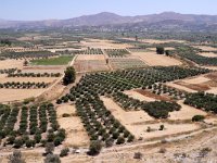 GR, Iraklion, Faistos, view from Phaistos 1, Saxifraga-Tom Heijnen