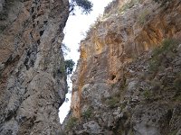 GR, Lasithi, Ierapetra, Sarakina Gorge 1, Saxifraga-Tom Heijnen