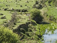 GR, Lassithi, Oropedio Lasithiou, Agios Georgios 14, Saxifraga-Jan van der Straaten