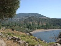 GR, Lesbos, Mytilini,  Ampelia Bay 1, Saxifraga-Theo Verstrael Saxifraga-Jan van der Straaten