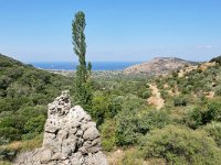 GR, Lesbos, Mytilini, Petra to Vafios 2, Saxifraga-Tom Heijnen