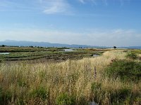 GR, Lesbos, Mytilini, Skala Kalloni flood plain 1, Saxifraga-Theo Verstrael