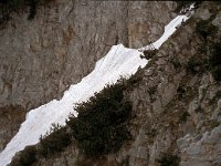 GR, Pieria, Dion-Olympos, Mont Olympos 27, Saxifraga-Jan Van der Straaten