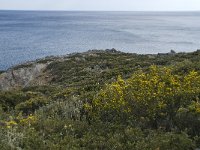 GR, Rethimnon, Agios Vasileios, Limni 19, Saxifraga-Willem van Kruijsbergen