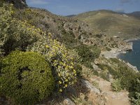 GR, Rethimnon, Agios Vasileios, Limni 23, Saxifraga-Willem van Kruijsbergen