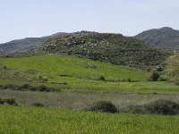 GR, Rethimnon, Agios Vasileios, Spili, Gious-Kambos 1, Saxifraga-Willem van Kruijsbergen