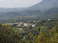 GR, Rethimnon, Amari, Fourfouras 2, Saxifraga-Jan van der Straaten