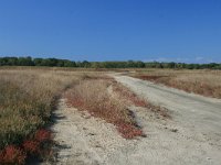 GR, Rodopi, Lasmos, Nestos Delta 16, Saxifraga-Dirk Hilbers