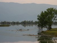 GR, Serres, Sindiki, Limni Kerkini 47, Saxifraga-Dirk Hilbers