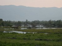 GR, Serres, Sindiki, Limni Kerkini 50, Saxifraga-Dirk Hilbers