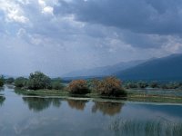 GR, Serres, Sindiki, Limni Kerkini 70, Saxifraga-Jan van der Straaten