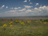 GR, Thessaloniki, Volvi, Limni Koroneia 10, Saxifraga-Dirk Hilbers