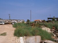 GR, Xanthi, Abdera, Porto Lagos 1, Saxifraga-Jan van der Straaten