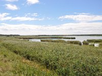 H, Komrom-Esztergom, Esztergom, Dinnyesi Ferto 1, Saxifraga-Kalman Gergely