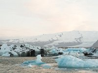 IS, Austerland, Hornafjoerdur, Jokulsarlon 12, Saxifraga-Peter Stein