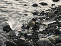 IS, Austerland, Hornafjoerdur, Jokulsarlon 17, Saxifraga-Peter Stein
