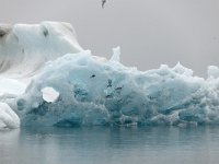 IS, Austerland, Hornafjoerdur, Jokulsarlon 8, Saxifraga-Peter Stein