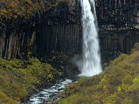 IS, Austurland, Austur-skaftafellssysla, Svartifoss 2, Saxifraga-Dick Hoogenboom