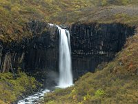 IS, Austurland, Austur-skaftafellssysla, Svartifoss 3, Saxifraga-Dick Hoogenboom