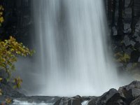 IS, Austurland, Austur-skaftafellssysla, Svartifoss 7, Saxifraga-Dick Hoogenboom