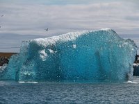 IS, Austurland, Skaftafellssysla, Jokulsarlon 17, Saxifraga-Jan C van der Straaten