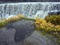 IS, Nordurland eystra, Nordurbing, Dettifoss 5, Saxifraga-Dick Hoogenboom