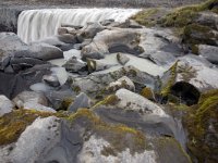 IS, Nordurland eystra, Nordurbing, Dettifoss 8, Saxifraga-Dick Hoogenboom