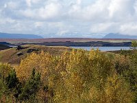 IS, Nordurland eystra, Nordurbing, Myvatn 10, Saxifraga-Dick Hoogenboom