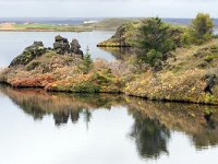 IS, Nordurland eystra, Nordurbing, Myvatn 11, Saxifraga-Dick Hoogenboom