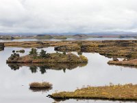 IS, Nordurland eystra, Nordurbing, Myvatn 21, Saxifraga-Dick Hoogenboom