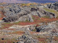 IS, Nordurland eystra, Nordurbing, Myvatn 28, Saxifraga-Dick Hoogenboom