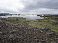 IS, Nordurland eystra, Nordurbing, Myvatn 38, Saxifraga-Peter Stein