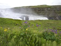 IS, Sudurland, Blaskogabyggd, Gullfoss 13, Saxifraga-Peter Stein