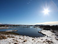 IS, Sudurland, Blaskogabyggd, Tingvellir 10, Saxifraga-Bart Vastenhouw