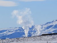 IS, Sudurland, Blaskogabyggd, Tingvellir 16, Saxifraga-Bart Vastenhouw