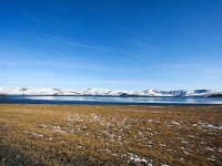 IS, Sudurland, Blaskogabyggd, Tingvellir 24, Saxifraga-Bart Vastenhouw