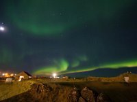 IS, Sudurnes, Reykjanesbaer, Gardur 10, Saxifraga-Bart Vastenhouw