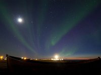 IS, Sudurnes, Reykjanesbaer, Gardur 4, Saxifraga-Bart Vastenhouw