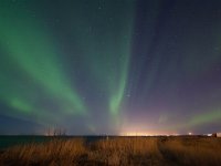 IS, Sudurnes, Reykjanesbaer, Gardur 6, Saxifraga-Bart Vastenhouw