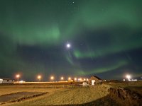 IS, Sudurnes, Reykjanesbaer, Gardur 8, Saxifraga-Bart Vastenhouw