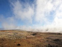 IS, Sudurnes, Reykjanesbaer, Reykjanes 4, Saxifraga-Bart Vastenhouw